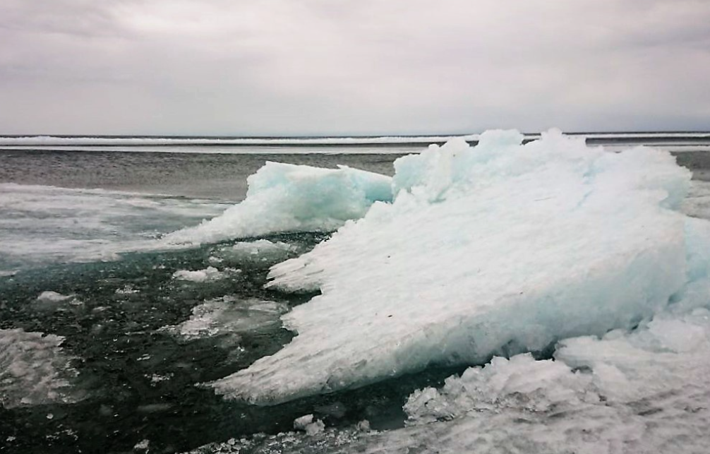 ������ ����� ������������� ��� ����