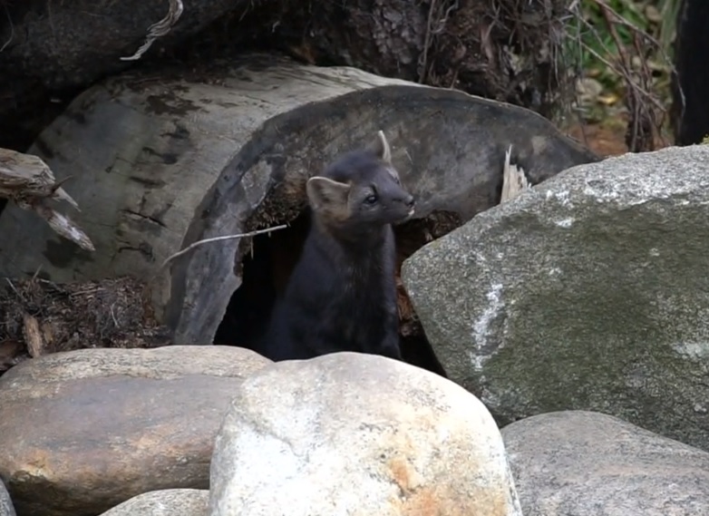 ������ ����� ������� ����� ��� ����������� ����������