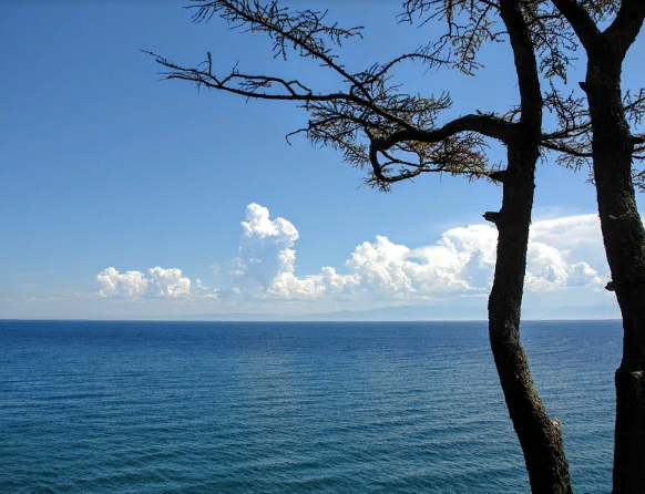 ������ ���� �� 25% ������ ��������, ��� � ������� ����