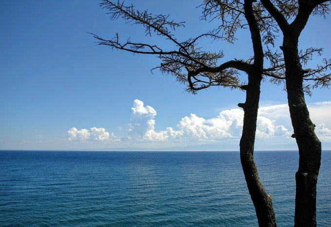 ������ �������� ������������ ������� ������ ���� � ������� �� ����������