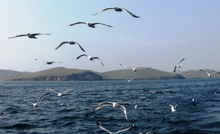 �� �������������� �������� ���������� ����� ������� �������� ����� 110 ��� ������