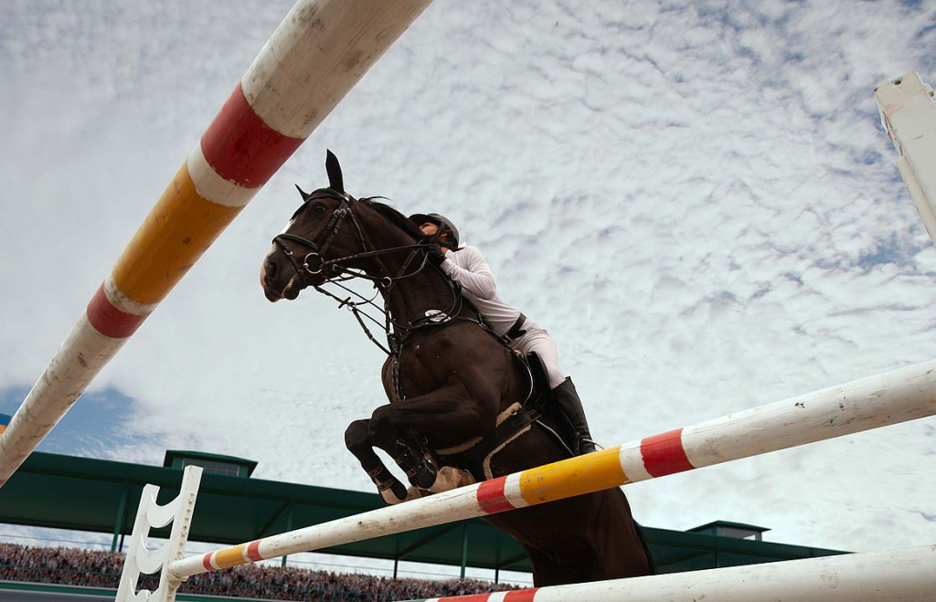 � ������� ������ ������� ������ �� ������� ������