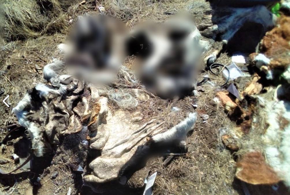 �� ������ ������� ����� ������������������� ������ �� �������� �������� � ������