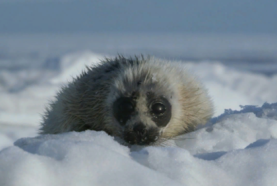 � �������� ��������� ����� #������������������� ������� ������� ����������� �����