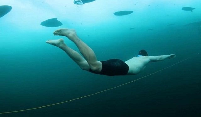 ������ ������ ������ ������� 50 ������ ���� ����� �������