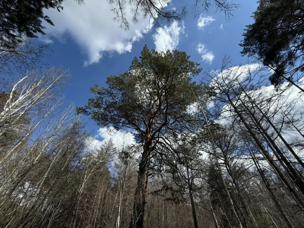 ������������ ����� ������ � ������������ ������ ��������������� �������� ������