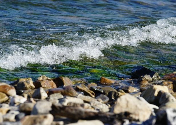 ������ ����� ������� ������������ ������� 