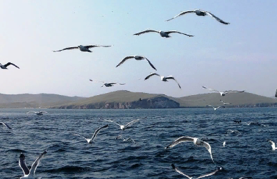 ������� ���������� � �������� ������� �� ������� ����������� � 87 ���� ������