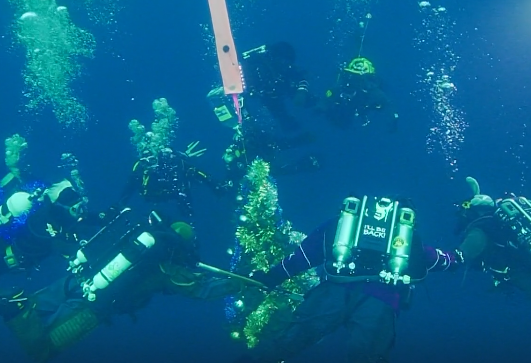 ������� ���������� ���� �� ��� �������