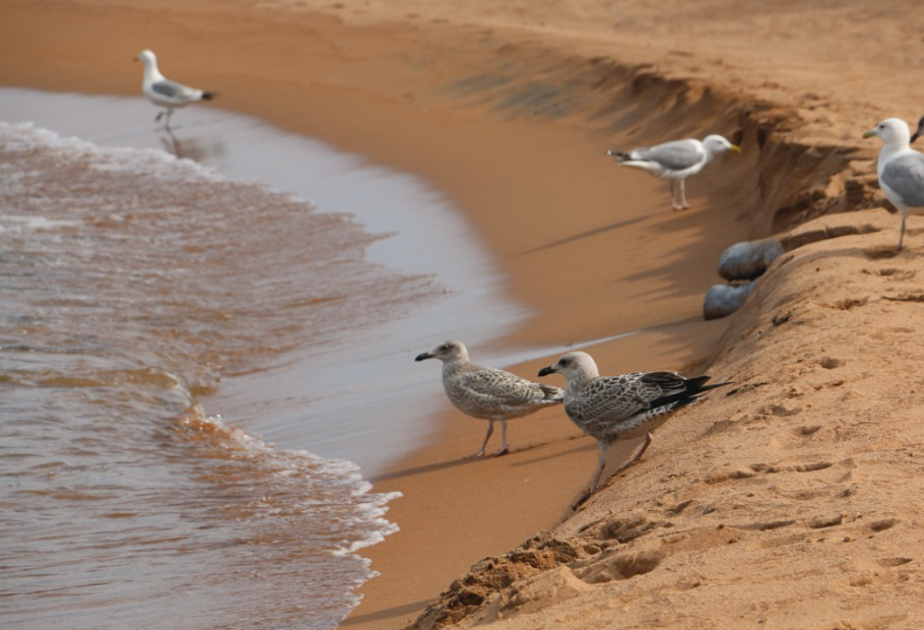 RG.RU: "��� � ������ ���������� ������" 