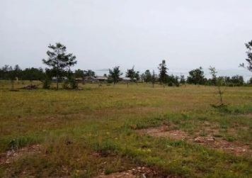 �� ������� ������������� ���������� ������ �������� � 267 ��. �