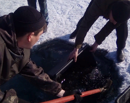 �� ���� ������� ���������� ����� ��������������