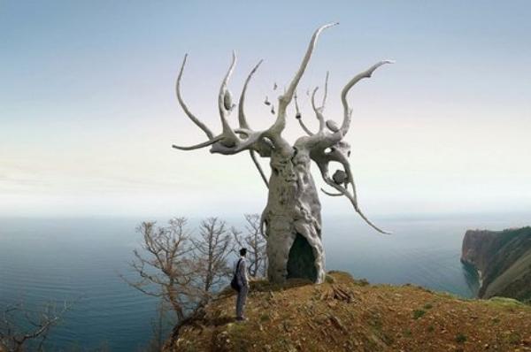 "��������� �������" ����� ����� �����