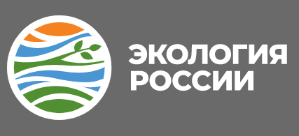 Экология России: Учёный заявил, что нет смысла проводить санитарные рубки на Байкале