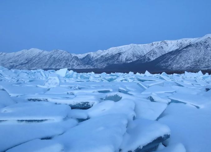 ������������ ������������ ������ ��: "��������� ������� � ������ ����������� ���������� ����� �������� � ��������"