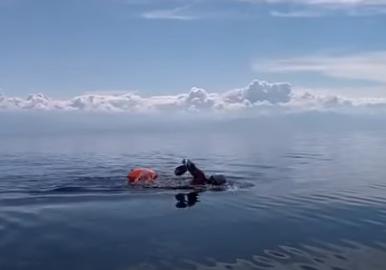 � �������� ������������ ������ �������, ��������� 120 ���������� �� �������