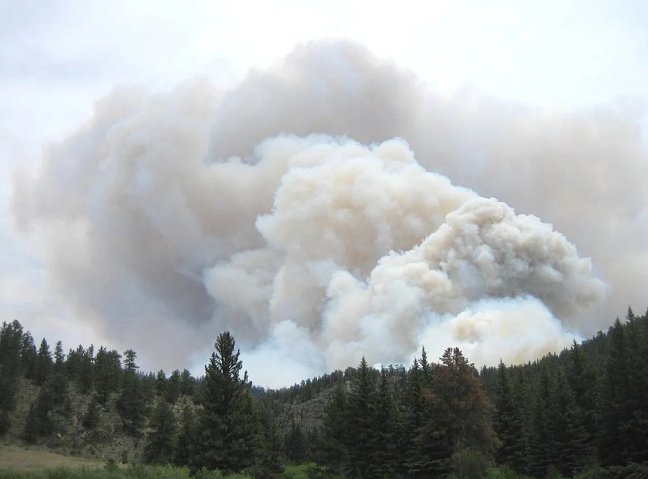 ������ ��������������� ������ ������ ������ �������