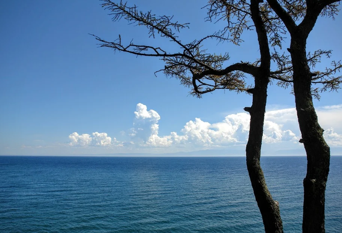 �������� ������� ������ �� �������� ���� � �������