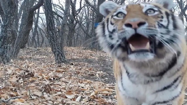 � ��������� ������������ ����� �������� ������ � ��������������� ��������� �������� ������� � �������� �������