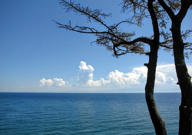 ������ ����� � ����� �������� ���������� ������������� ��������� � ������