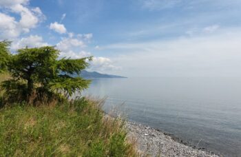 ���� ��������� �������� ������� � ������� ������� �� �����������