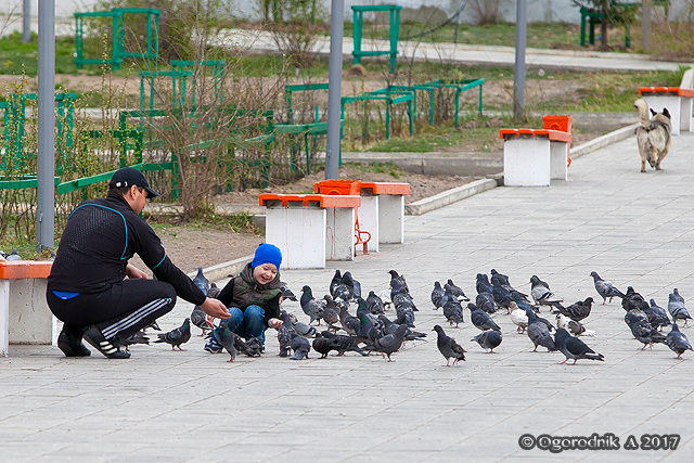 IMG_7929.jpg