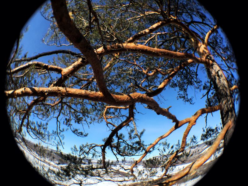 ����� ����������