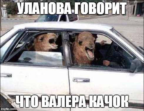 .jpg