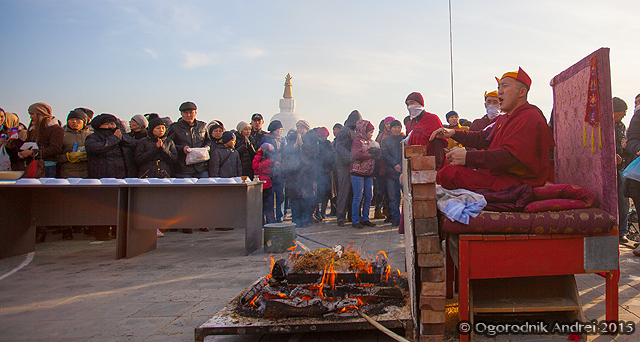 IMG_2681.jpg