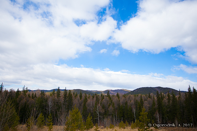IMG_5659.jpg