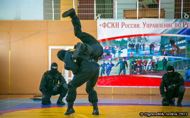 AOGO0381.jpg AOGO0381.jpg