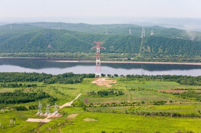 amur.jpg