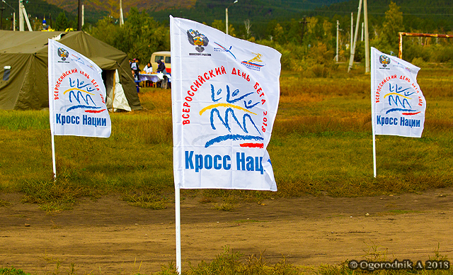BR1Y3598.jpg BR1Y3598.jpg