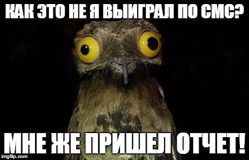   .jpg