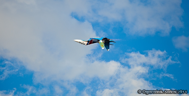 IMG_6928.jpg
