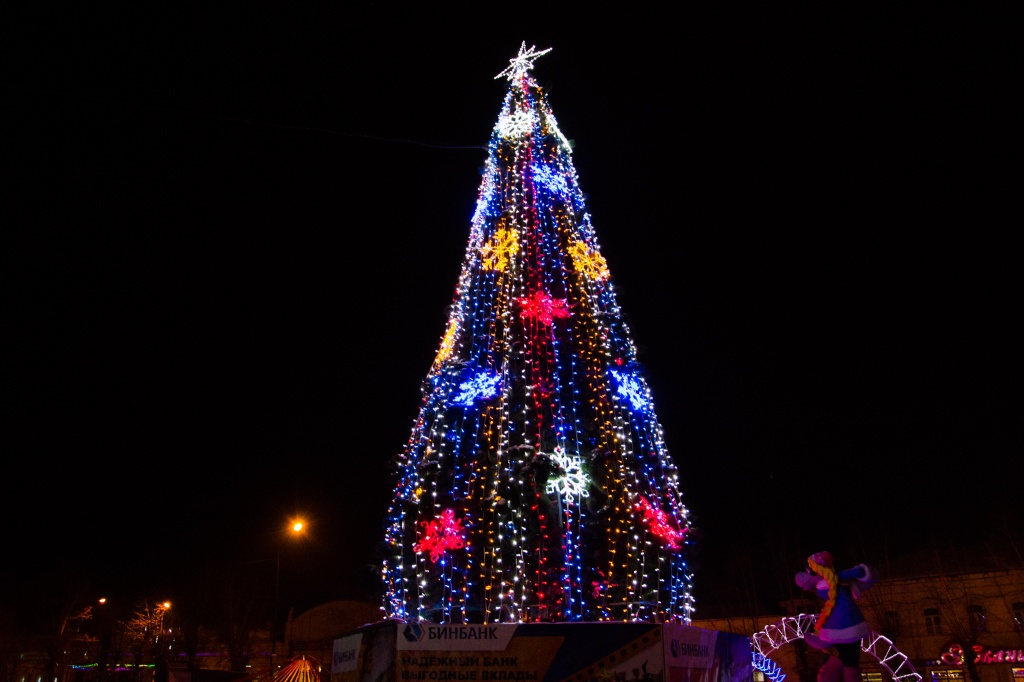 DSC_7910.jpg