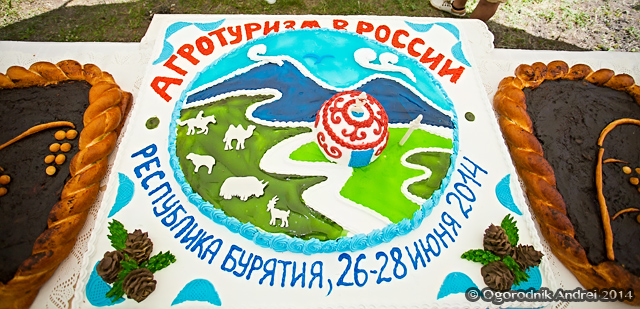 IMG_0528.jpg