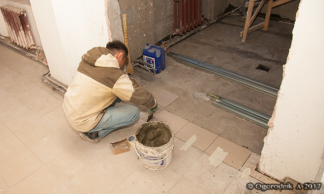 IMG_2987.jpg