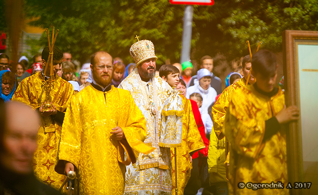 IMG_3628.jpg
