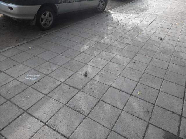P_20150901_084241.jpg