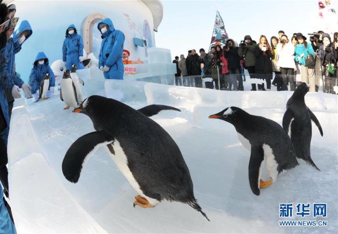 �������� ����������� �����������