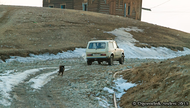 20150326_0174.jpg