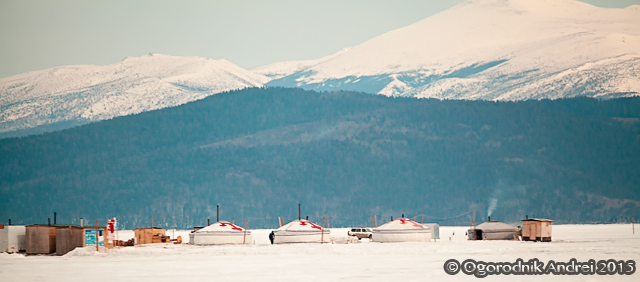 20150326_0266.jpg