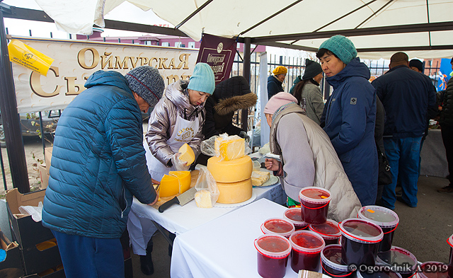 IMG_1615.jpg