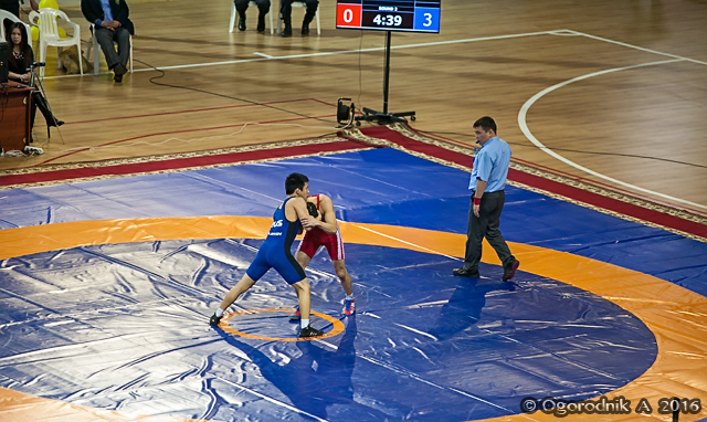 IMG_8987.jpg