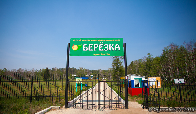 Верхняя березка