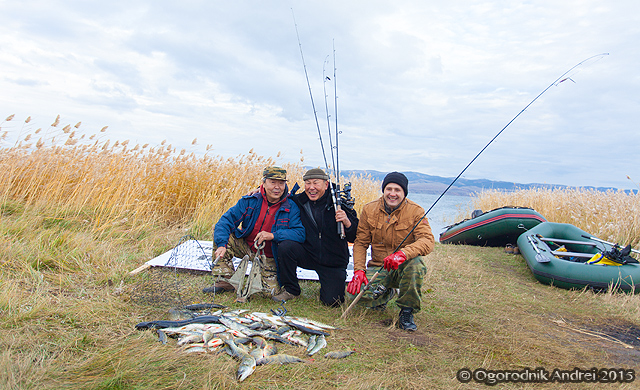 IMG_2432.jpg