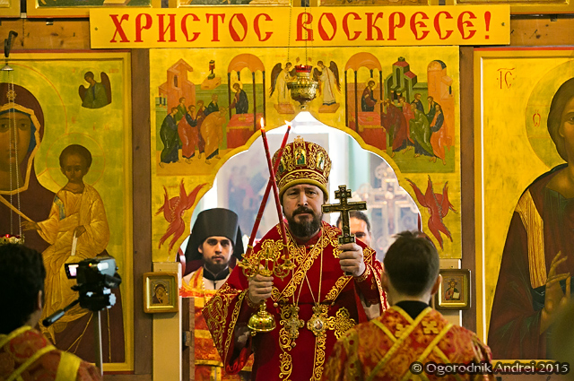 AOGO3677.jpg