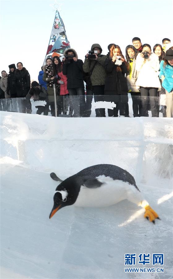 �������� ����������� �����������