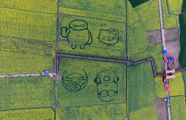 ����� ������� �� �����